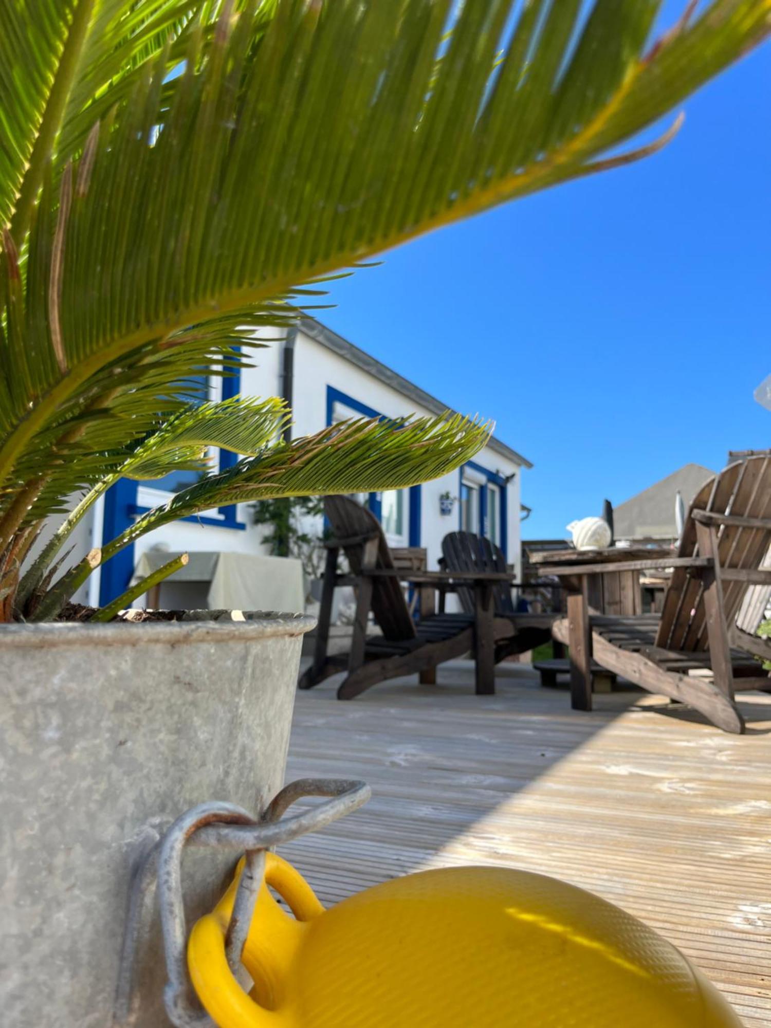 L'Atelier De Mezareun Bed and Breakfast Ushant Εξωτερικό φωτογραφία