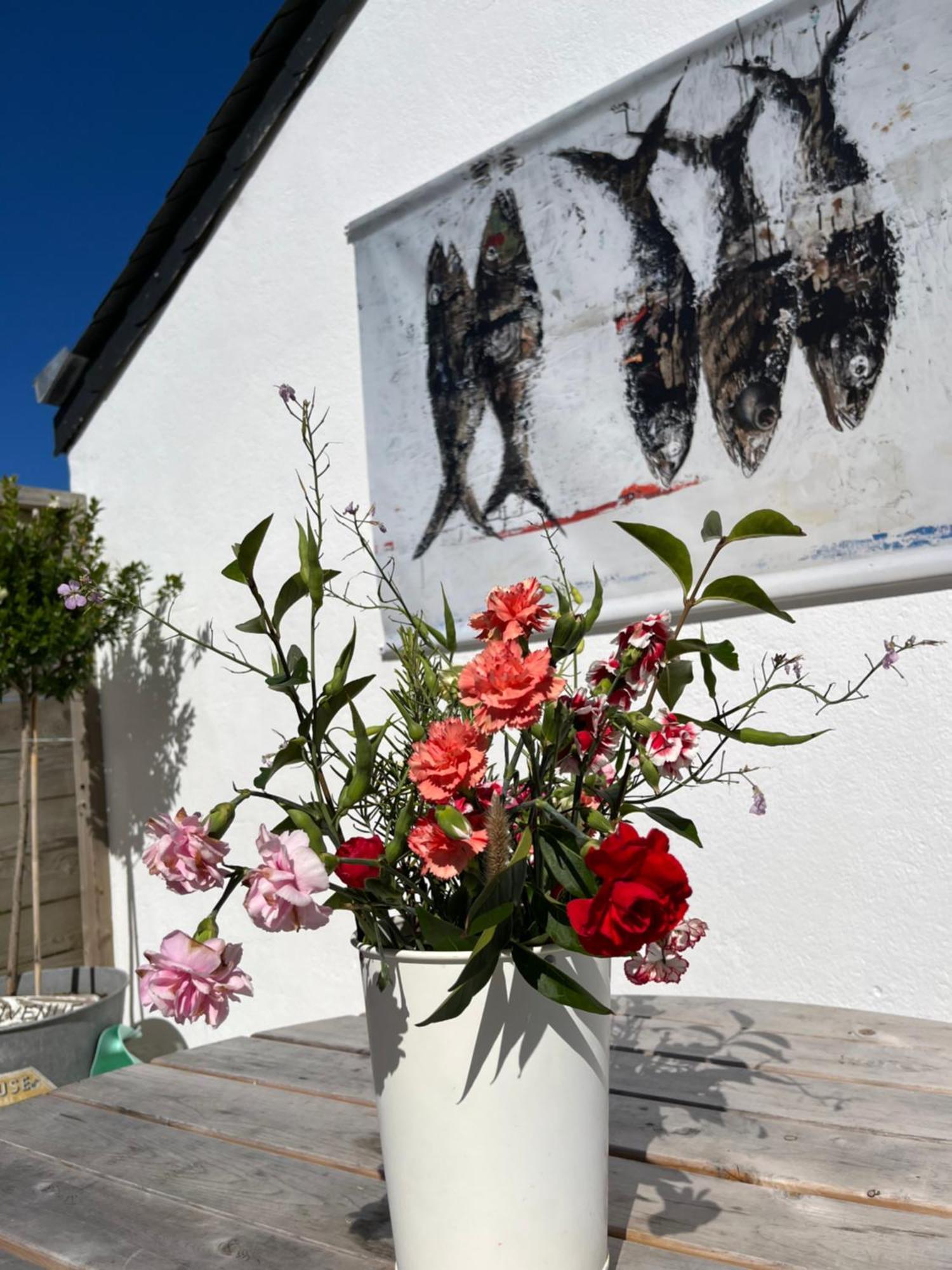 L'Atelier De Mezareun Bed and Breakfast Ushant Εξωτερικό φωτογραφία